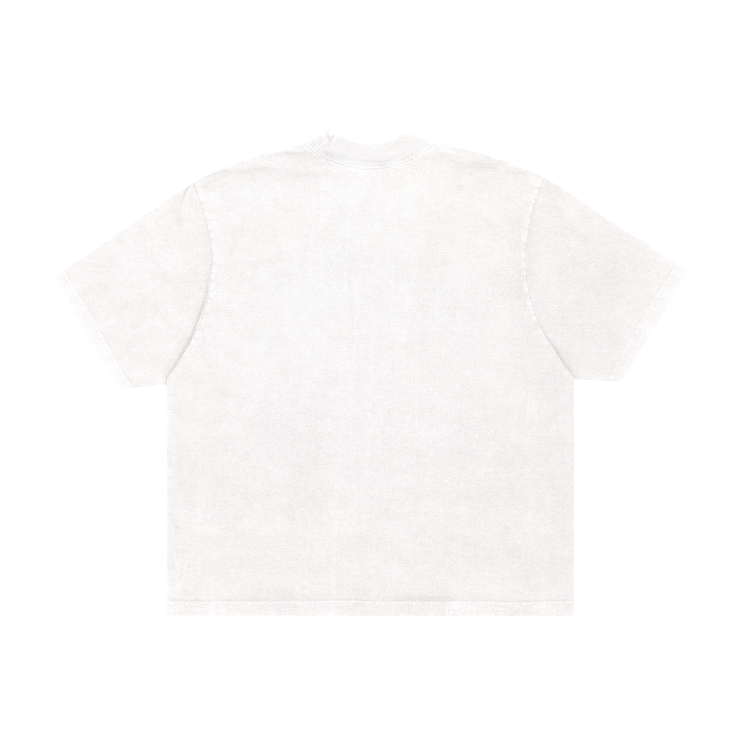 camiseta boxy 'bonsai'