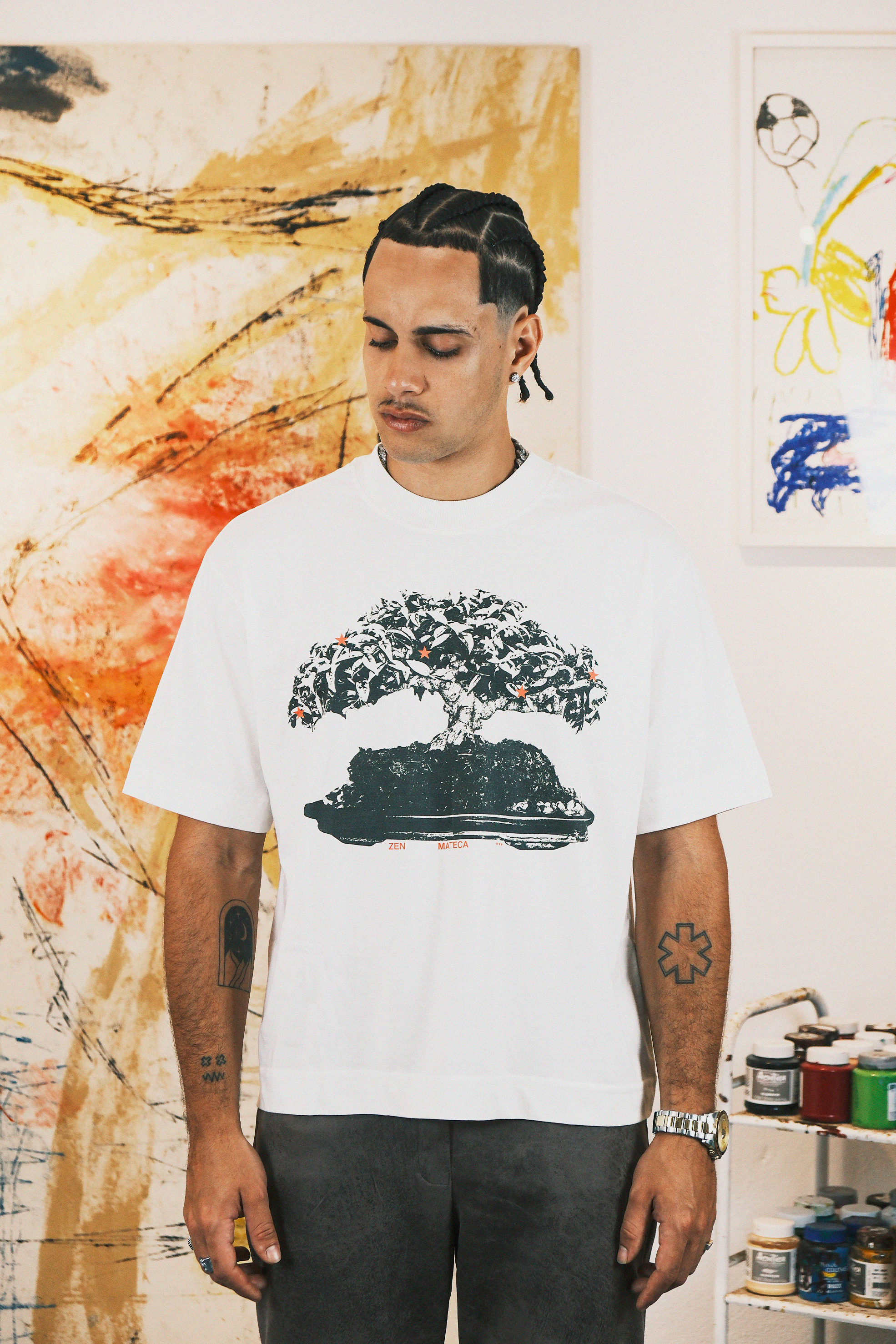 camiseta boxy 'bonsai' — imagem destaque